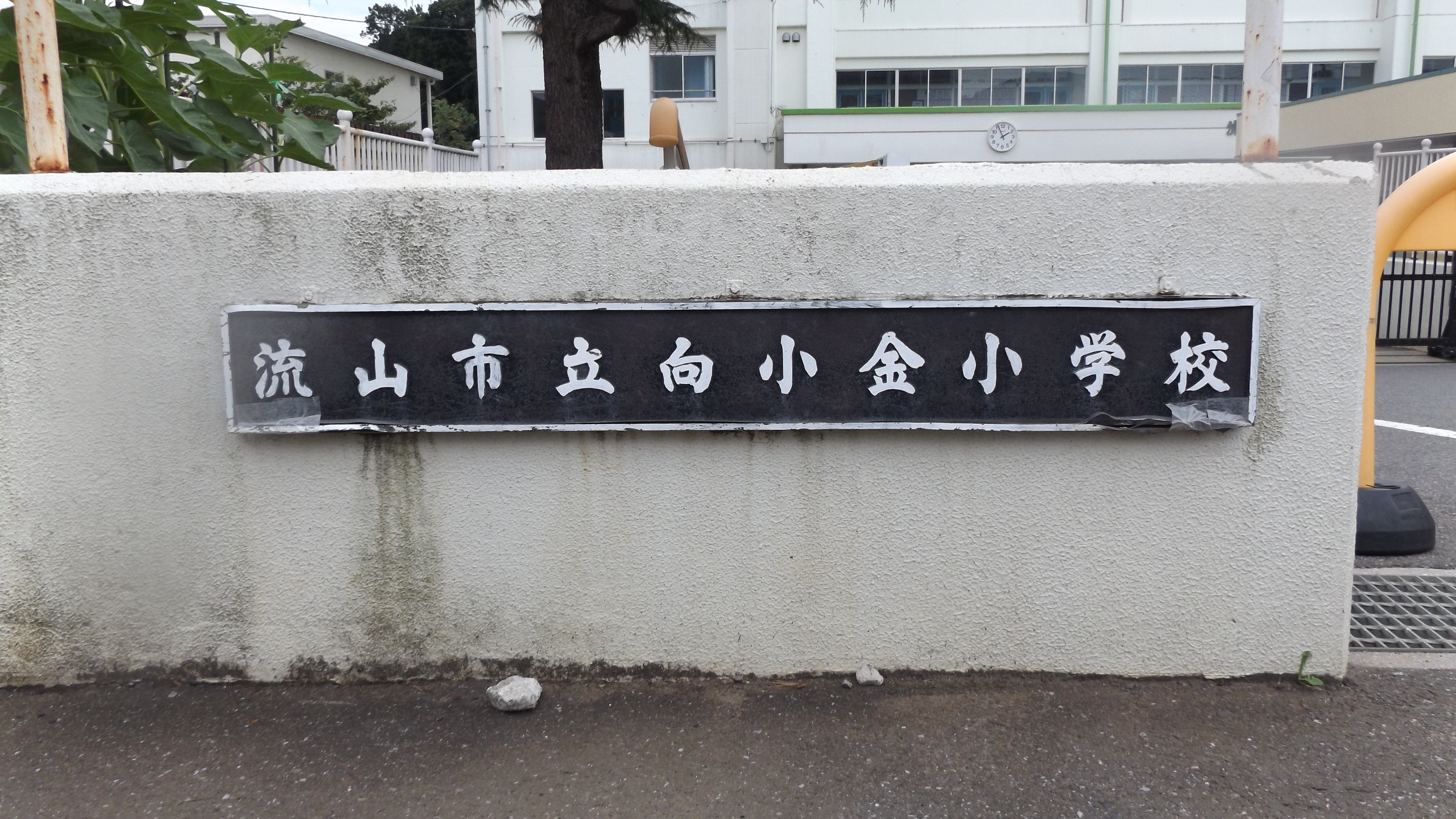 当時のメディア報道・掲載写真