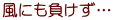 風にも負けず…